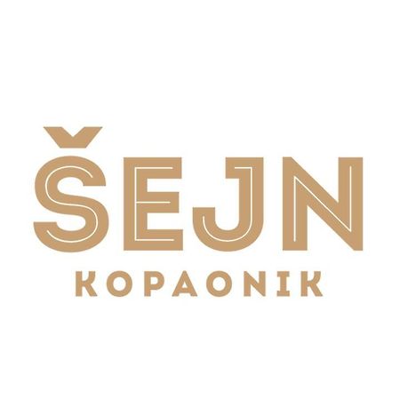 Guesthouse Sejn Kopaonik Exterior foto